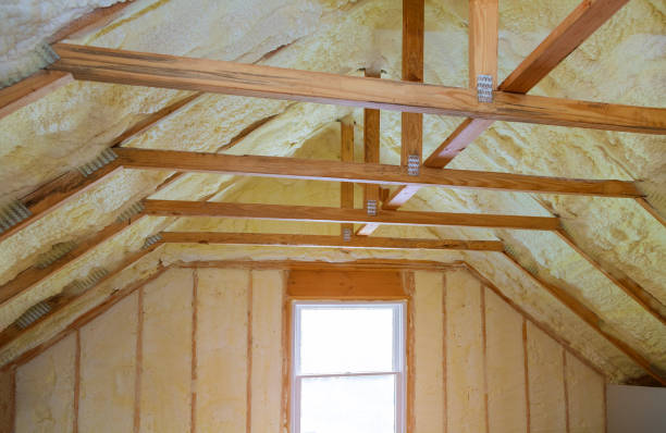Best Specialty Insulation in Clifton Springs, NY